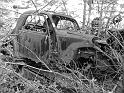 Autofriedhof - 056